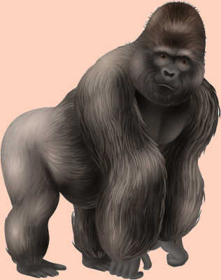 Dřevěná socha gorily